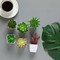 Set of 6 Mini Artificial Succulents in White Ceramic Pots – Lifelike Faux Small Potted Plants for Home, Office Desk, Shelf, Bathroom & Modern Room Decor